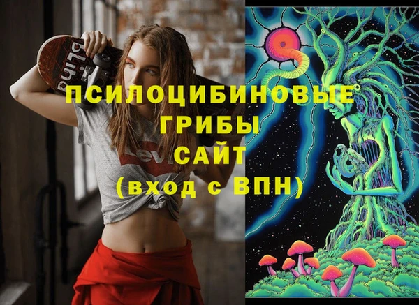 дживик Балахна