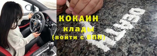 дживик Балахна