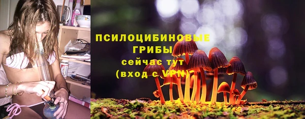 гидра Балабаново