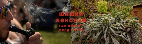 ГАЛЛЮЦИНОГЕННЫЕ ГРИБЫ Баксан