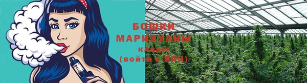 дживик Балахна